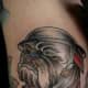 bulldog-tattoos-and-designs-bulldog-tattoo-meanings-and-ideas-facts-about-the-bulldog