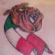 bulldog-tattoos-and-designs-bulldog-tattoo-meanings-and-ideas-facts-about-the-bulldog