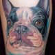 bulldog-tattoos-and-designs-bulldog-tattoo-meanings-and-ideas-facts-about-the-bulldog