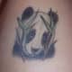 panda-tattoos-and-meanings-panda-tattoo-designs-and-ideas-panda-tattoo-images