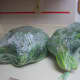 6 bushels of Kale Greens (3 bundles per bag).