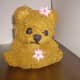 This was my first attempt, in which I did not use enough batter. Don't make this mistake, or your bear will be pawless!