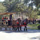 Carriage Tour
