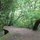 Walk A Levada in Madeira