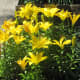 If you are shooting on a sunnier day, try to avoid the direct sunlight which may result in a lot of glare.