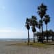 The beachside setting of Paseo Maritimo.