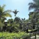 Jardin Botanico, Torremolinos.