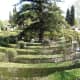 The maze in Jardin Botanico.
