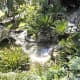 Looking down on Jardin Botanico.
