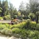 The Japanese Garden.