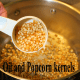 6 -quart pan with lid