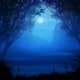 Some afterlife realms are bathed in light and colour while others are in relative darkness and devoid of colour.
