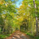 A Trial Walk on a Beautiful Autumn Day