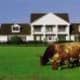 Southfork Ranch, Plano, Texas...DaDa-DaDa-DaDaDaDaDaDa-DaDaDaDada-Daaa. Theme from &quot;Dallas&quot; TV series and fictional home of J.R. Ewing!