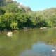 New Braunsfels, Texas...If you go there...you must float along the Guadalupe River...there is nothing like it!