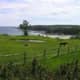 Any Great View of a Lake, USA