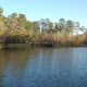Double Lake Recreation Area and Campgrounds, Sam Houston National Forest, Coldspring, Texas