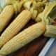 The corn is cooked, so just peel back the husk. So easy for making soup or eating off the cob.