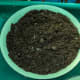 Use loam-based soil for cacti and succulents.