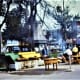 Pigs being roasted on the streets of Pella, Iowa