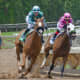 Horse racing: Image by Clarence Alford from Pixabay