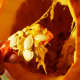 Use the scooper from your pumpkin kit to help you get all the pulp and seeds out.