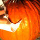 Clean your pumpkin with distilled vinegar and water.