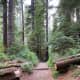 my-summertime-destination-sol-duc-at-the-olympic-national-park