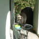 A mama raccoon helping herself to breakfast at my bistro