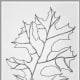 Oak or Maple leaf one-line-doodle
