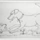 Dog playing with Rabbit - one-line-doodle art