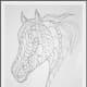 Horse head doodle