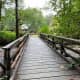 my-summertime-destination-to-the-quinault-rainforest