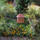 Northern view. Capture climatic conditions during different seasons. This shot is lush with late-summering flowers.