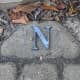Attach respective letters onto paving stones. Start by positioning an N in the direction of North.