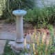 Or set the sundial on a pedestal to add height variety to your garden.