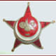 Dad's Galllipoli Star