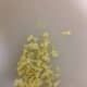 Chopped Onions