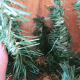 Secure branches together using floral wire.