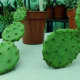 Most opuntia&mdash;more commonly known as prickly-pear&mdash;are very cold-hardy. 