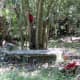 Cemetery in E.R. Ann Taylor Park