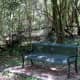 Another bench in the park
