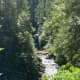 Sweet Creek Falls
