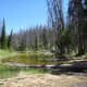 Alpine Pond at Cedar Breaks National Monument