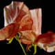 Sweet Peas - backlit with a black backdrop