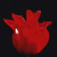 A backlit blood red Tulip contrasts very powerfully with a black background