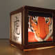 Closeup Tiger Face Square Box Lantern