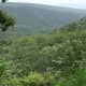 Sri Venkateswara National Park on Tirumala Hills, Tirupati
