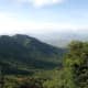 The bio diversity of Tirumala