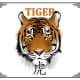 Tiger face cylinder lantern (template 6)